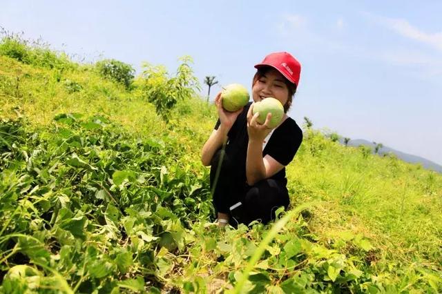 「流传很久的解暑秘诀」这个夏天解暑即靠空调也靠它！