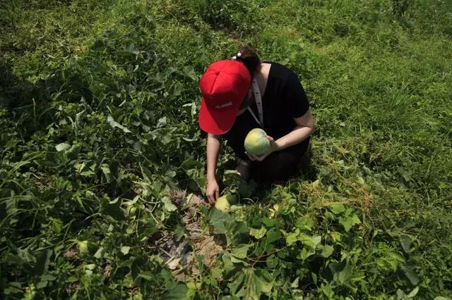 「流传很久的解暑秘诀」这个夏天解暑即靠空调也靠它！