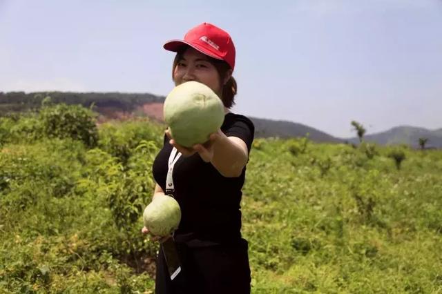 「流传很久的解暑秘诀」这个夏天解暑即靠空调也靠它！